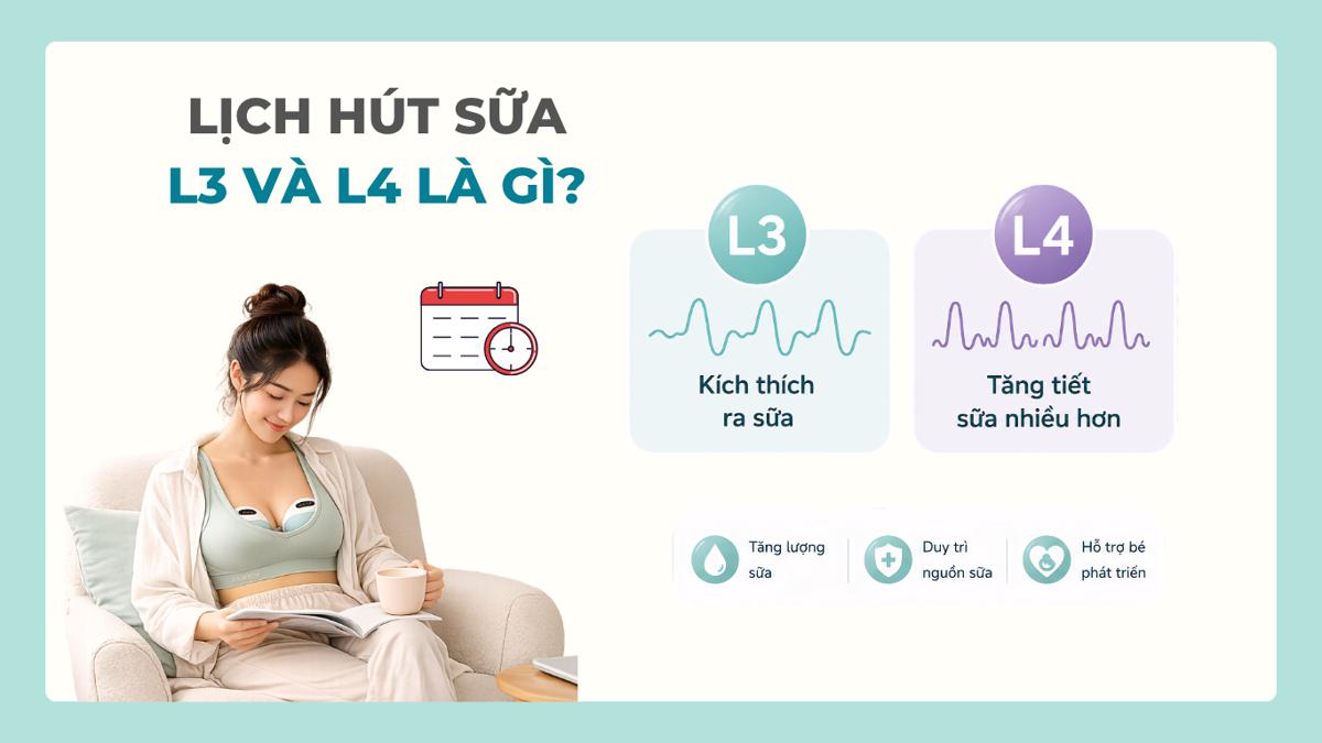Kích sữa L3, L4 là gì? Lịch hút sữa khoa học giúp mẹ gọi sữa về