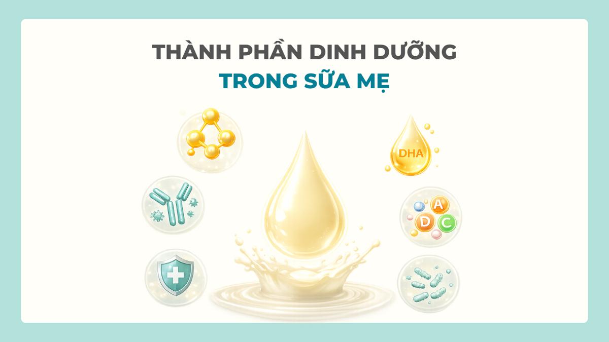 Sữa Mẹ Làm Từ Gì? Giải Mã Bảng Thành Phần Dinh Dưỡng Kỳ Diệu Của Sữa Mẹ
