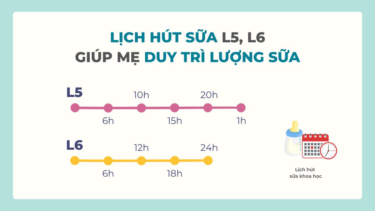 Lịch hút sữa L5, L6: Lịch hút giãn cữ dành cho các mẹ đã có nguồn sữa ổn định