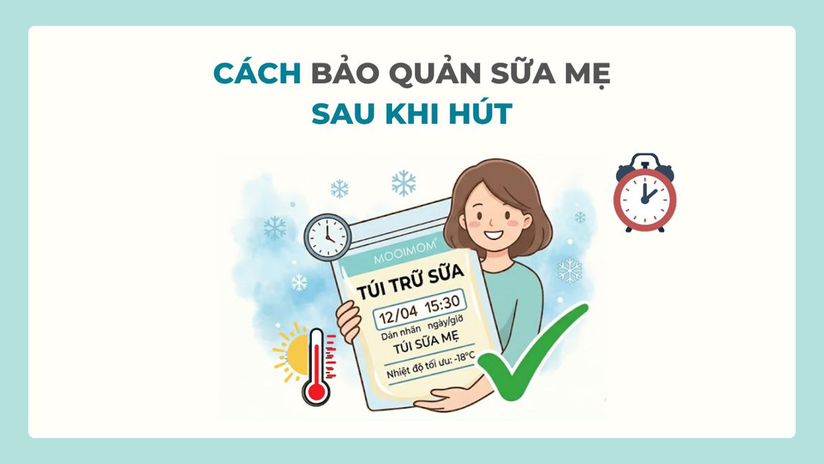 Hướng Dẫn Cách Bảo Quản Sữa Mẹ Sau Khi Hút Chuẩn Y Khoa