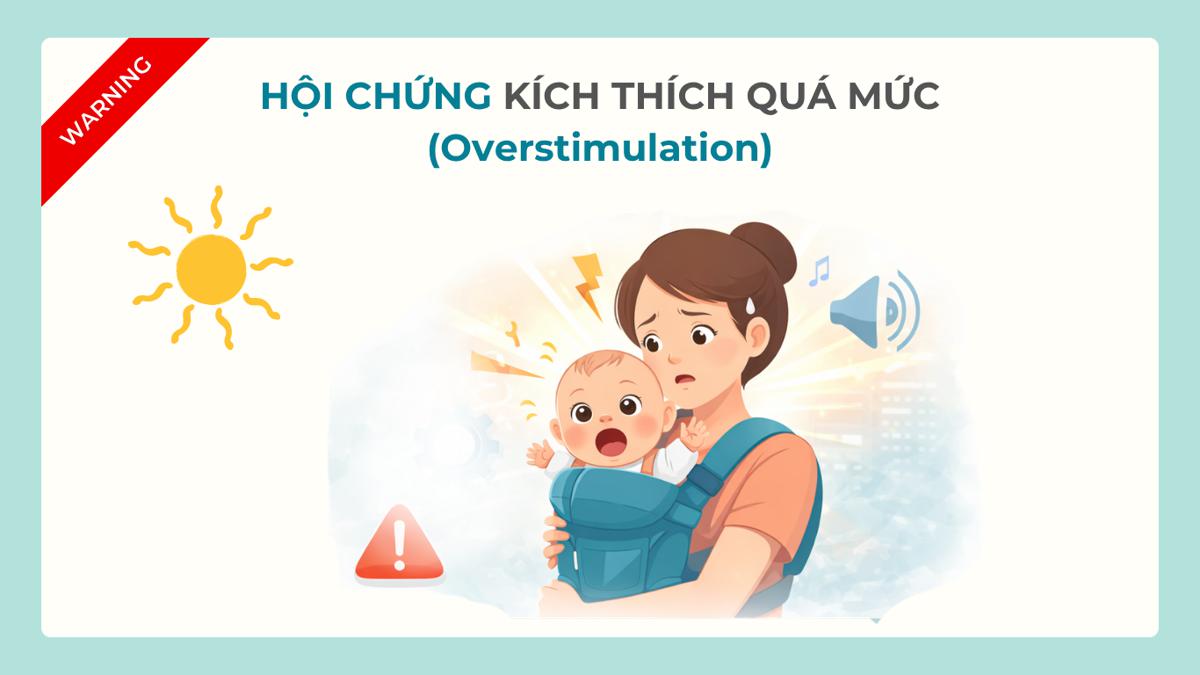 Khi Nào Nên Địu Bé Quay Mặt Ra Trước? Cảnh Báo Hội Chứng "Kích Thích Quá Mức" (Overstimulation)