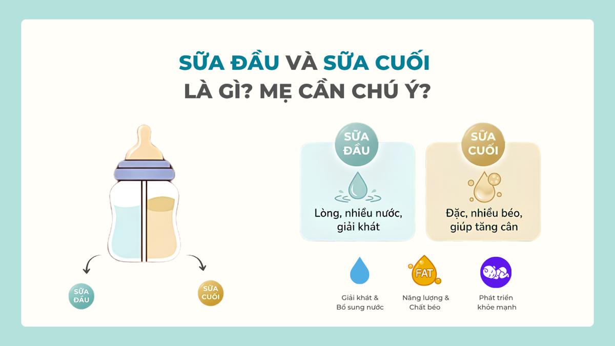 Sữa đầu và sữa cuối là gì? Cách vắt kiệt lớp sữa béo cuối cùng giúp bé tăng cân