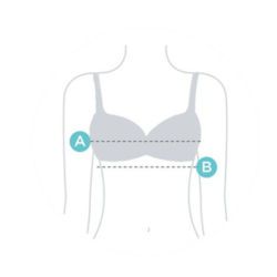 measure desc image