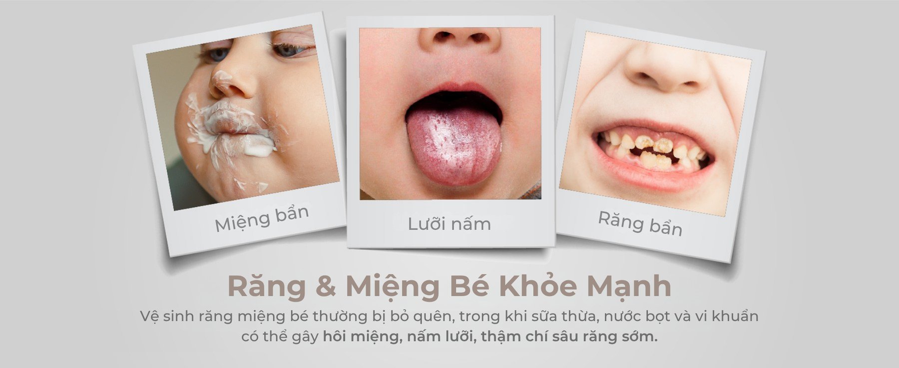 mugu Khăn Ướt Đa Năng Mini Lau Răng Nướu Cho Bé description image